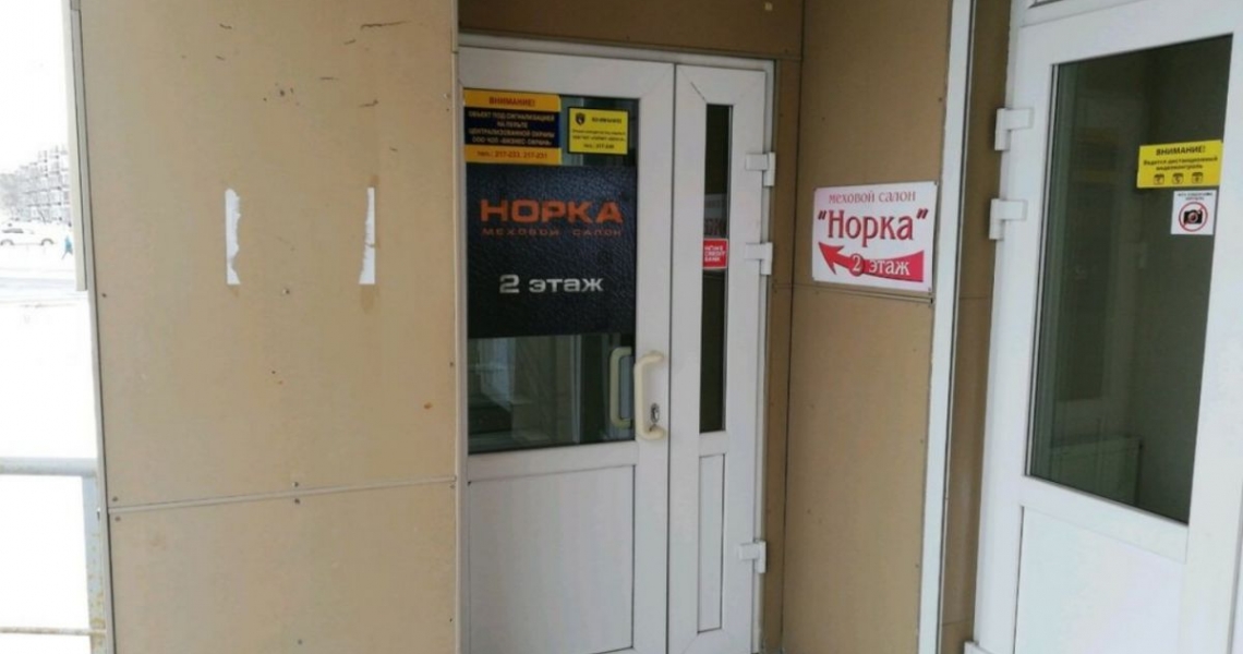 Фотография салона Норка