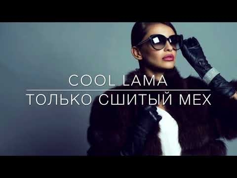 Фотография салона Cool Lama 